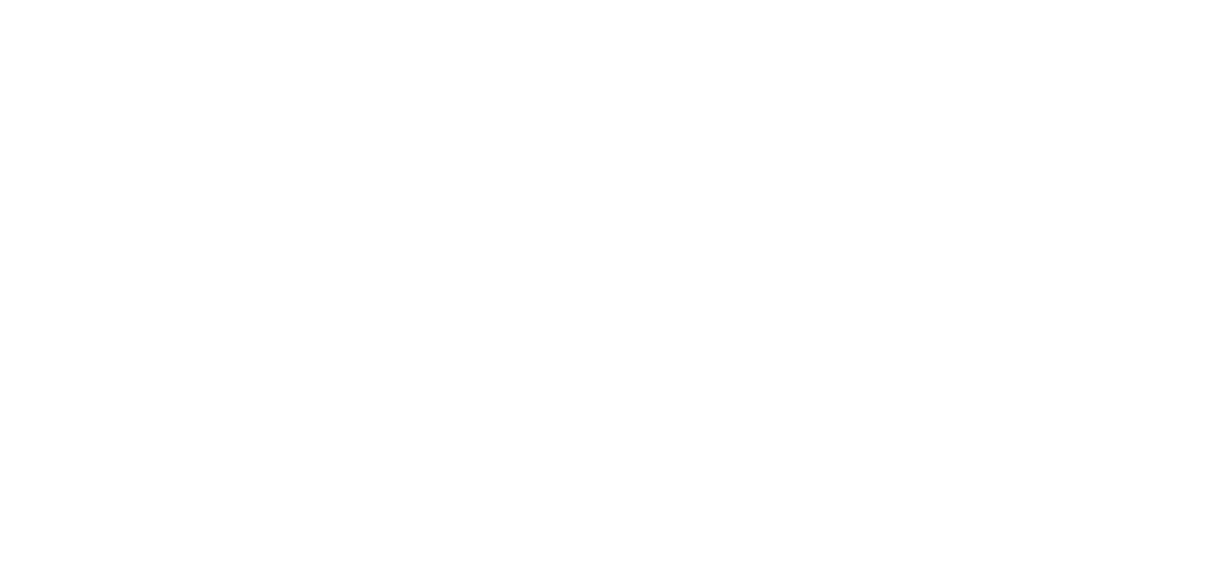 HOMIX